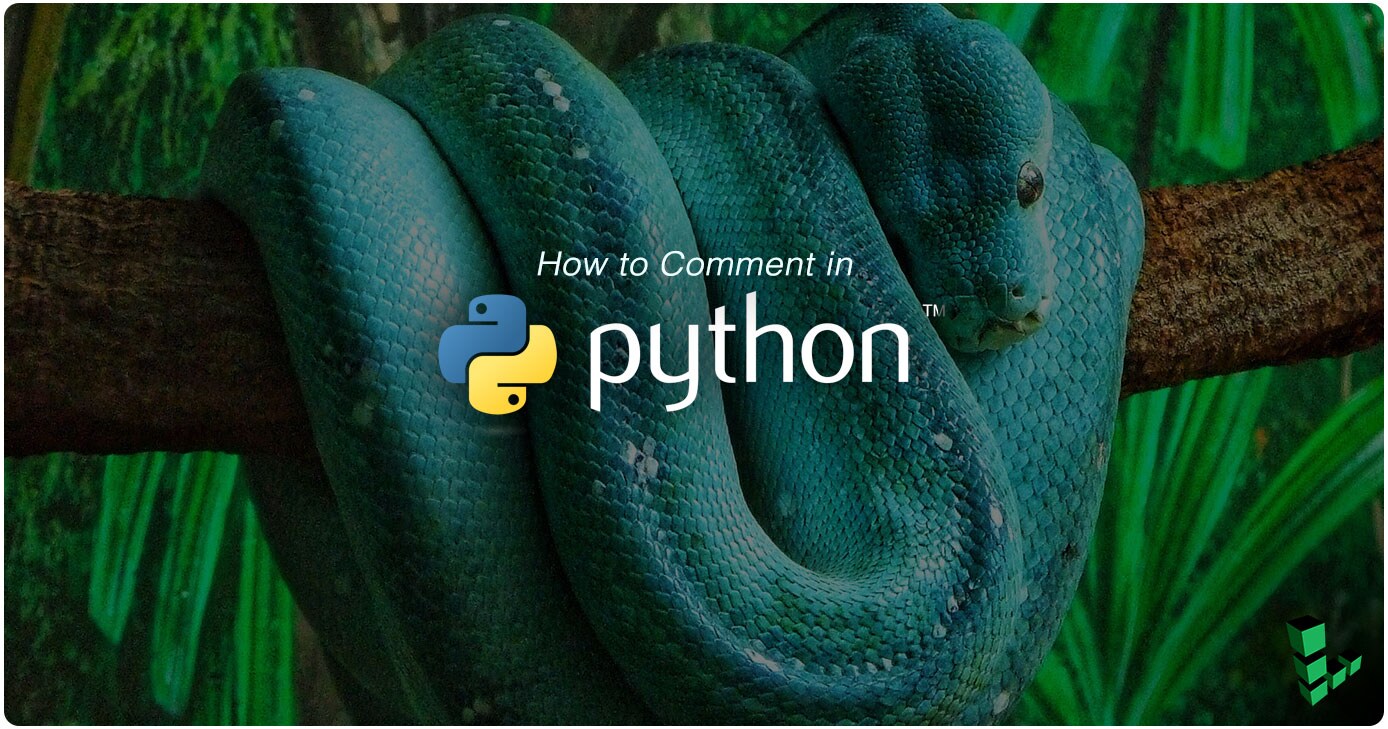 How to Comment in Python | Linode Docs