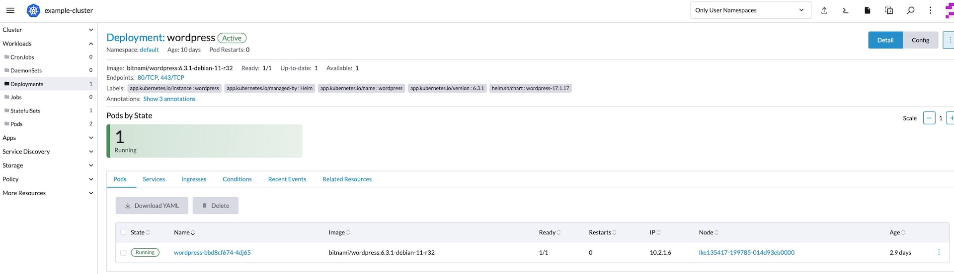Rancher WordPress workloads - deployment name highlighted Rancher WordPress workloads - deployment name highlighted