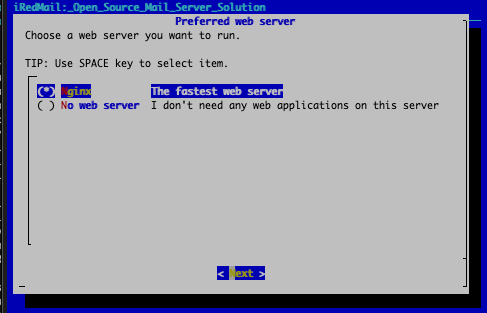 Select the NGINX web server