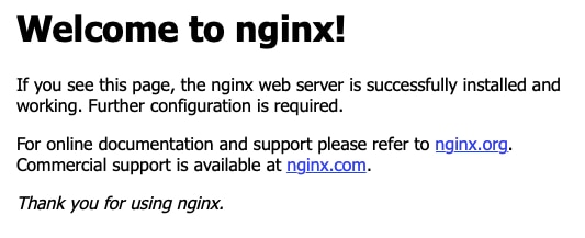 Default NGINX page.