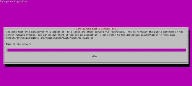 Matrix domain name prompt