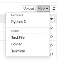 Jupyter Python Kernel Jupyter Python Kernel
