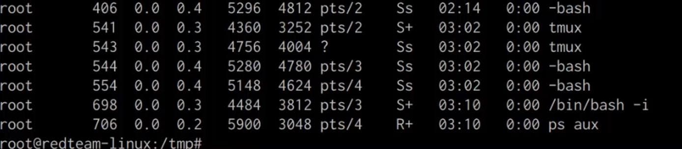 ps aux output with shell.py hidden ps aux output with shell.py hidden