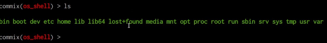 Commix pseudo terminal shell prompt - ls command