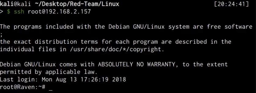 Raven VM - successful SSH public key authentication