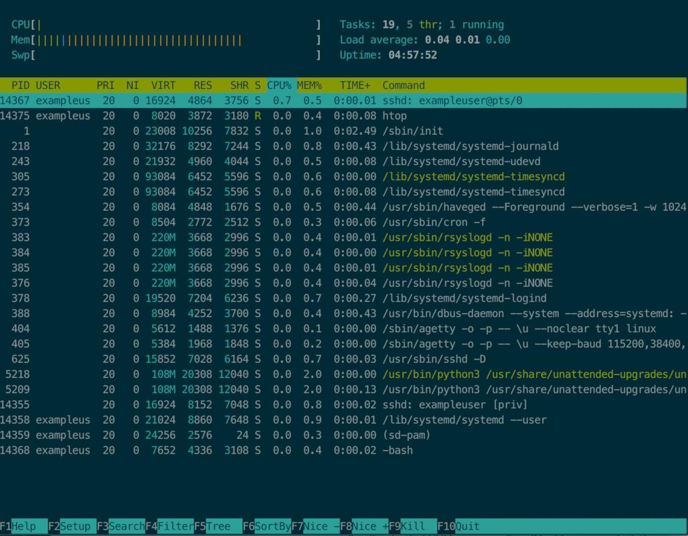 htop lists processes and sort by consumption htop lists processes and sorts by consumption