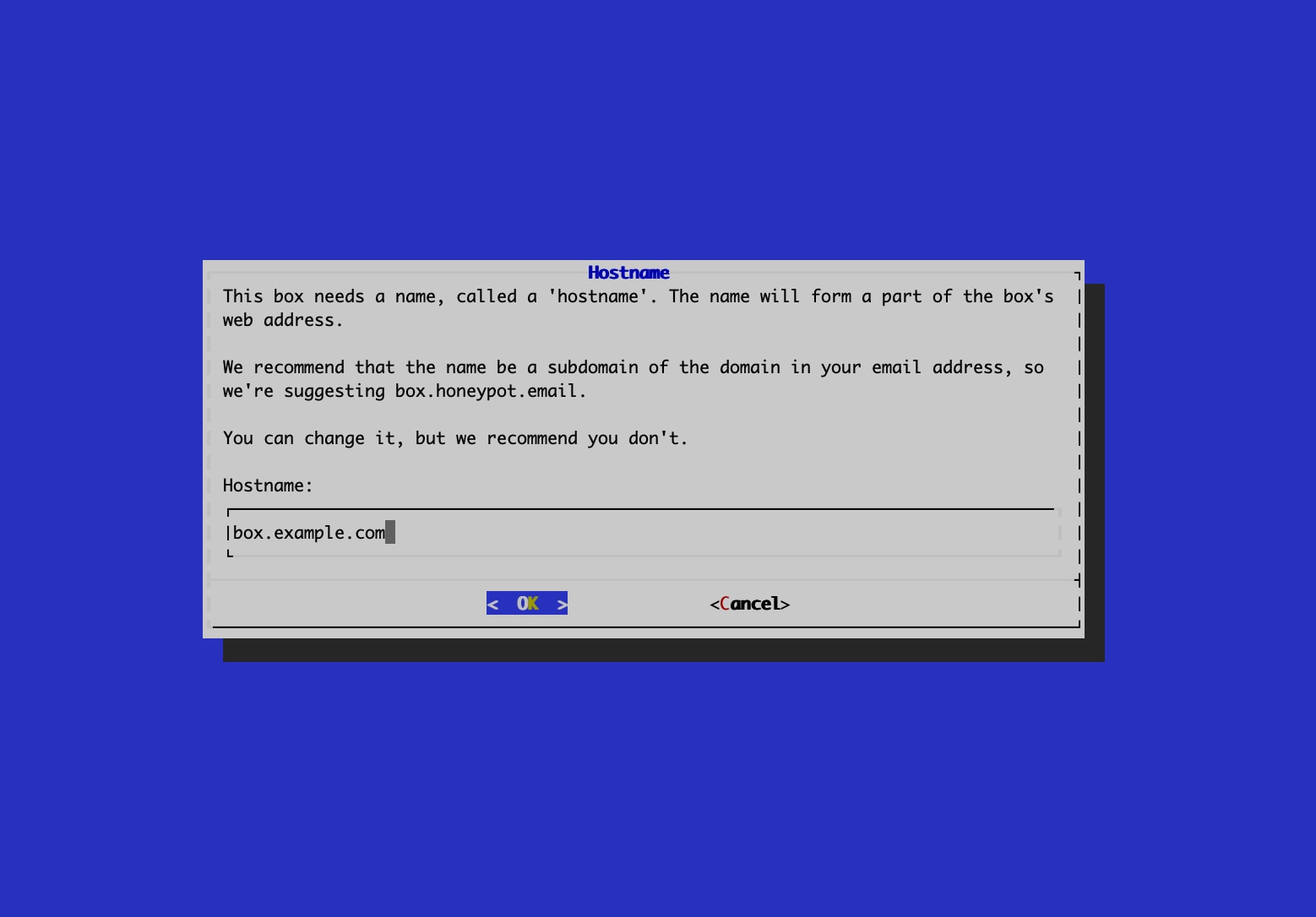 Choose Hostname
