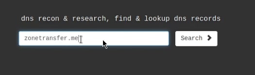 DNS Dumpster lookup form DNS Dumpster lookup form