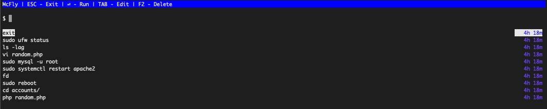 McFly interface with no starting search term