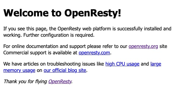 The default OpenResty welcome page The default OpenResty welcome page