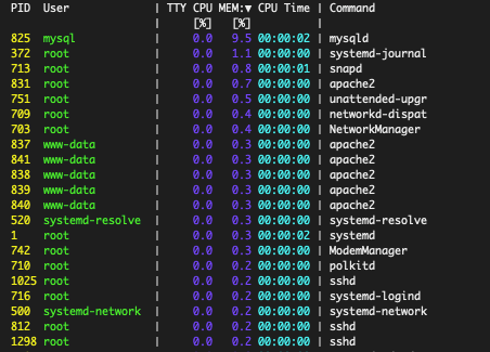 processes sorted by memory use processes sorted by memory use