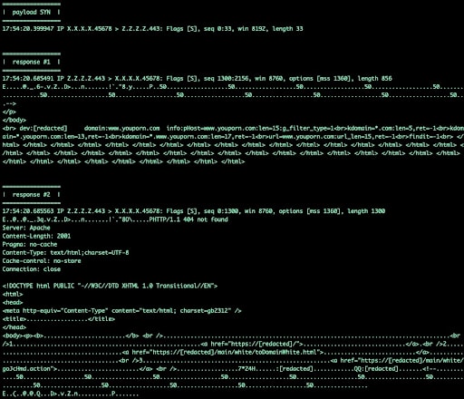 Fig. 1. Example responses from vulnerable middlebox