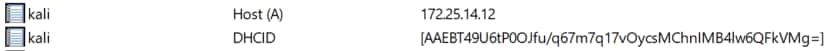 With Name Protection enabled, every time a DHCP server registers a record on behalf of a client, an additional DHCID record is created (Figure 21).