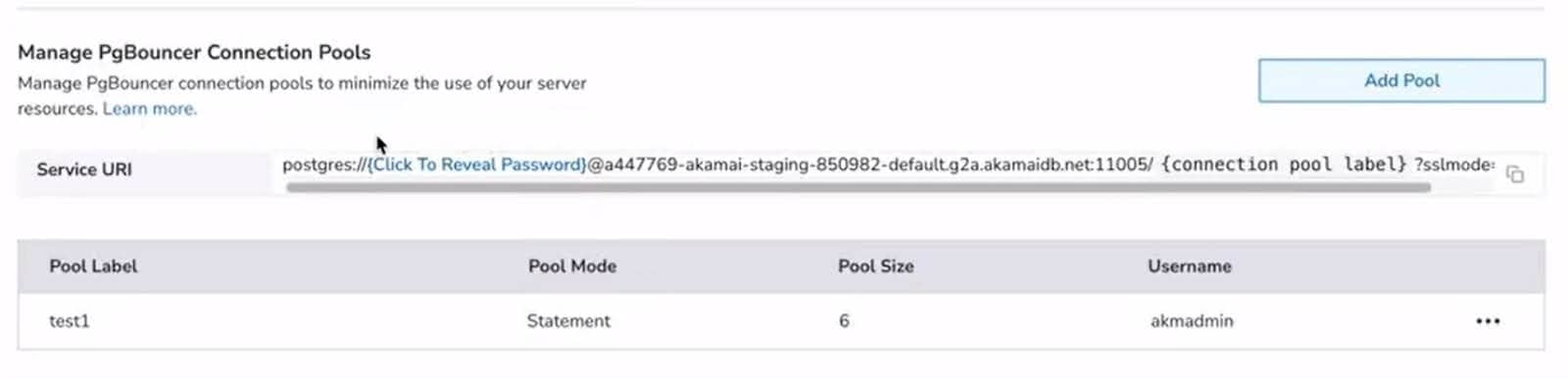 The connection pool section of the networking tab 