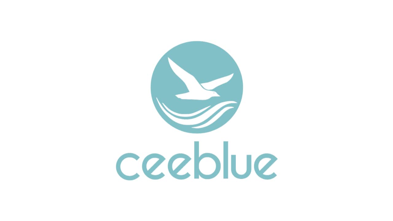 ceeblue logo